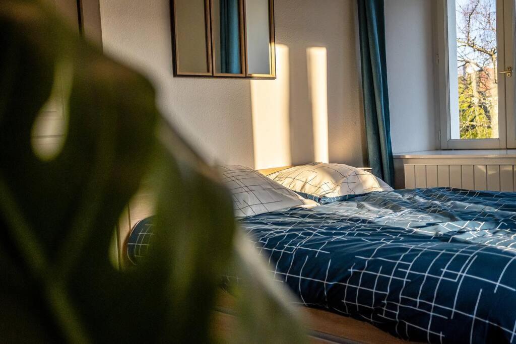 Un Refuge Douillet Et Moderne Au Coeur D'audincourt Apartamento